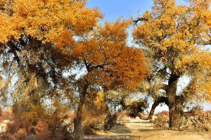 传奇战士PK必学核心操作：双烈火释放全攻略，新手也能快速上手